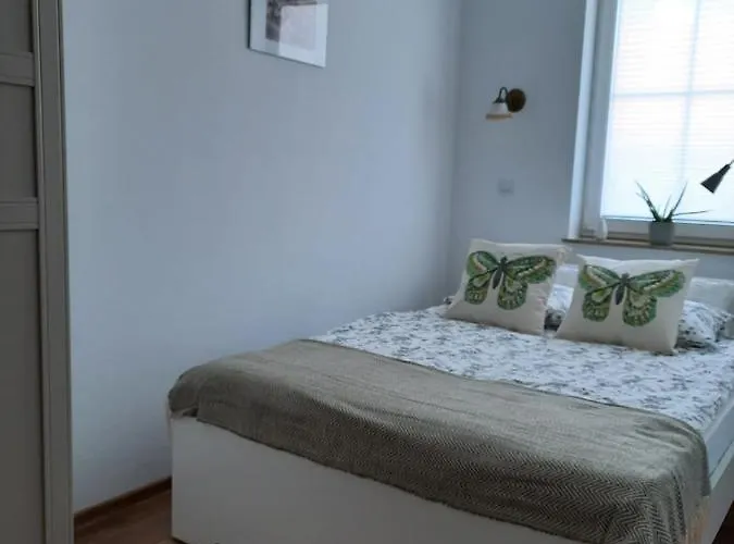 Apartament Felina