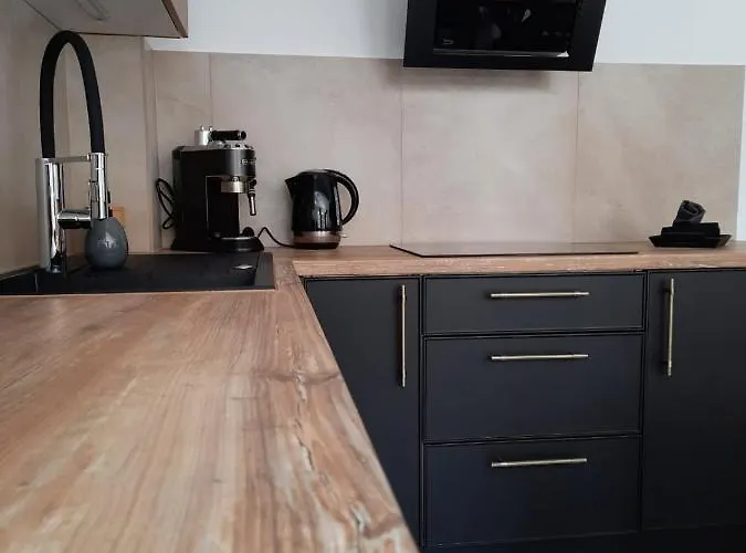 Apartament Felina